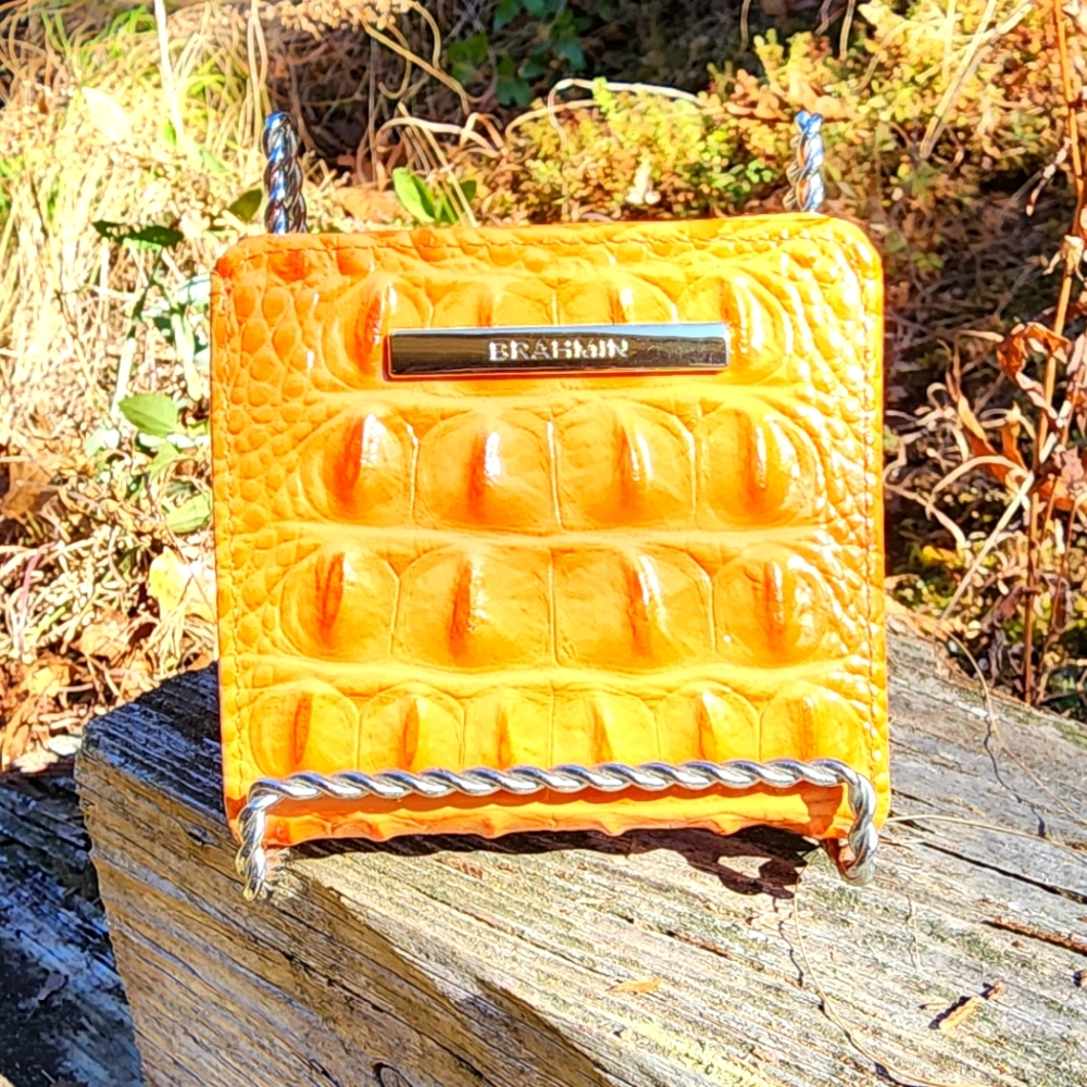 Brahmin wallet